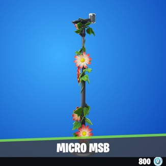 Micro MSB